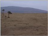 (P:\Africa\VideoStills) Dn-a1442.jpg (1/1) (82 K)