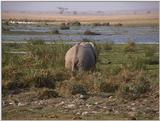 (P:\Africa\VideoStills) Dn-a1456.jpg (1/1) (86 K)