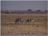 (P:\Africa\VideoStills) Dn-a1457.jpg (1/1) (93 K)