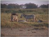 (P:\Africa\VideoStills) Dn-a1465.jpg (1/1) (83 K)