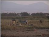(P:\Africa\VideoStills) Dn-a1466.jpg (1/1) (85 K)