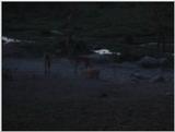 (P:\Africa\VideoStills) Dn-a1469.jpg (1/1) (86 K)