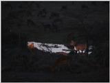 (P:\Africa\VideoStills) Dn-a1470.jpg (1/1) (88 K)