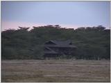 (P:\Africa\VideoStills) Dn-a1475.jpg (1/1) (85 K)