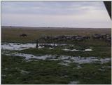 (P:\Africa\VideoStills) Dn-a1486.jpg (1/1) (94 K)