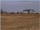 (P:\Africa\VideoStills) Dn-a1507.jpg (1/1) (88 K)