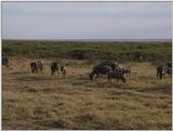 (P:\Africa\VideoStills) Dn-a1512.jpg (1/1) (84 K)
