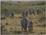 (P:\Africa\VideoStills) Dn-a1519.jpg (1/1) (90 K)