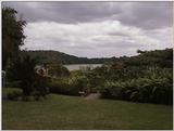 (P:\Africa\VideoStills) Dn-a1544.jpg (1/1) (95 K)