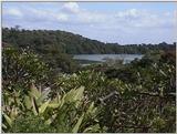 (P:\Africa\VideoStills) Dn-a1546.jpg (1/1) (91 K)