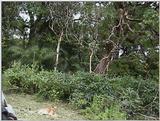 (P:\Africa\VideoStills) Dn-a1573.jpg (1/1) (89 K)