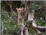 (P:\Africa\VideoStills) Dn-a1576.jpg (1/1) (92 K)