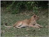 (P:\Africa\VideoStills) Dn-a1577.jpg (1/1) (90 K)