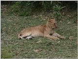 (P:\Africa\VideoStills) Dn-a1578.jpg (1/1) (90 K)
