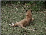 (P:\Africa\VideoStills) Dn-a1583.jpg (1/1) (90 K)