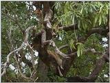 (P:\Africa\VideoStills) Dn-a1587.jpg (1/1) (89 K)