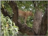 (P:\Africa\VideoStills) Dn-a1596.jpg (1/1) (91 K)