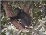 (P:\Africa\VideoStills) Dn-a1604.jpg (1/1) (91 K)