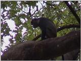(P:\Africa\VideoStills) Dn-a1605.jpg (1/1) (93 K)