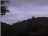 (P:\Africa\VideoStills) Dn-a1608.jpg (1/1) (82 K)