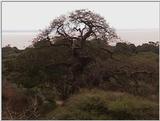 (P:\Africa\VideoStills) Dn-a1612.jpg (1/1) (89 K)