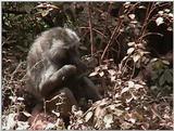 (P:\Africa\VideoStills) Dn-a1634.jpg (1/1) (91 K)