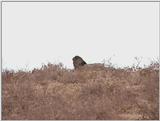 (P:\Africa\VideoStills) Dn-a1654.jpg (1/1) (93 K)