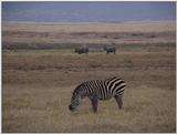 (P:\Africa\VideoStills) Dn-a1662.jpg (1/1) (88 K)