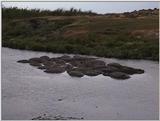 (P:\Africa\VideoStills) Dn-a1675.jpg (1/1) (91 K)