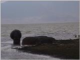 (P:\Africa\VideoStills) Dn-a1687.jpg (1/1) (90 K)