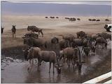 (P:\Africa\VideoStills) Dn-a1690.jpg (1/1) (87 K)