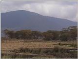 (P:\Africa\VideoStills) Dn-a1716.jpg (1/1) (87 K)