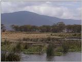 (P:\Africa\VideoStills) Dn-a1717.jpg (1/1) (94 K)