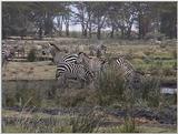 (P:\Africa\VideoStills) Dn-a1718.jpg (1/1) (92 K)
