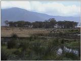(P:\Africa\VideoStills) Dn-a1720.jpg (1/1) (94 K)