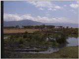 (P:\Africa\VideoStills) Dn-a1725.jpg (1/1) (93 K)