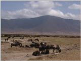 (P:\Africa\VideoStills) Dn-a1737.jpg (1/1) (90 K)