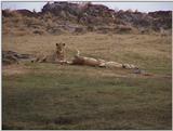 (P:\Africa\VideoStills) Dn-a1800.jpg (1/1) (86 K)