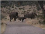 (P:\Africa\VideoStills) Dn-a1849.jpg (1/1) (95 K)