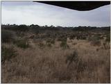 (P:\Africa\VideoStills) Dn-a1850.jpg (1/1) (90 K)