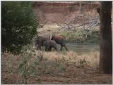 (P:\Africa\VideoStills) Dn-a1866.jpg (1/1) (86 K)