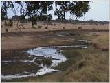 (P:\Africa\VideoStills) Dn-a1870.jpg (1/1) (92 K)