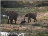 (P:\Africa\VideoStills) Dn-a1875.jpg (1/1) (89 K)