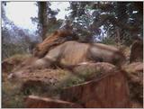 (P:\Africa\VideoStills) Dn-a1931.jpg (1/1) (84 K)