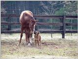 Best friends