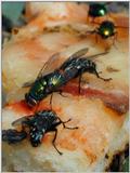 lunchtime