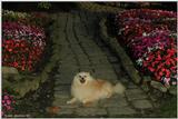 Tucker (2)