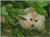 Tucker (3)