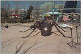 Expo12-IronSculputre-BlackAnts.jpg [1/1]
