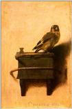 Fine Art: Carel Fabritius: The Goldfinch, 1654 [The Hague] - goldfinc.jpg [01/01]